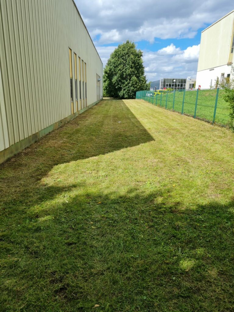 MS Elagage Paysagiste Lille