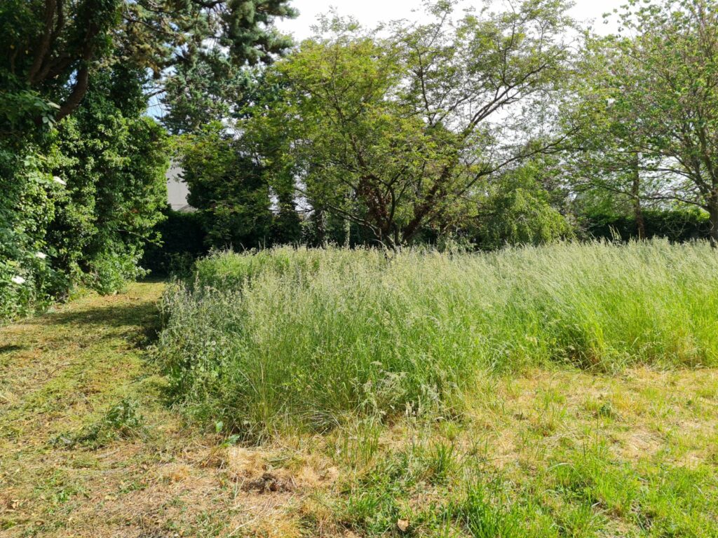 MS Elagage Paysagiste Lille