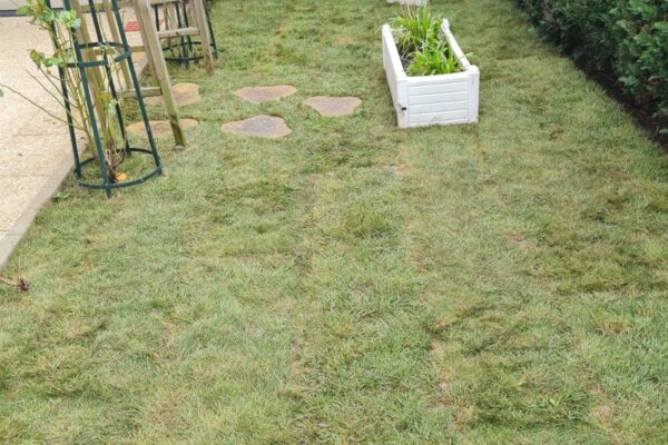 Création de jardin