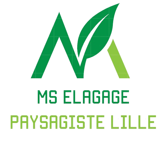 MS Elagage Paysagiste